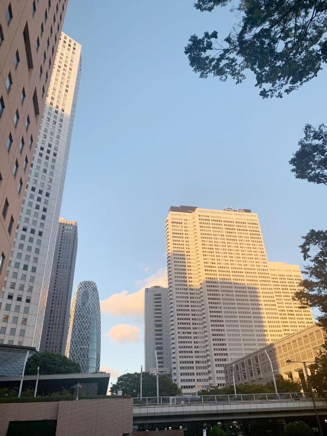 Shinjuku Area!nishi-shinjuku Gochome Subway 6 Minutes Walk! 西新宿五丁目车站步行6分钟! 高速无限制wifi 201 Apartment